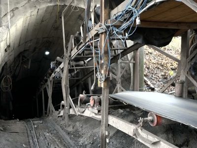 djurdjevik