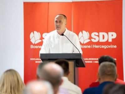 dzevad hadzic