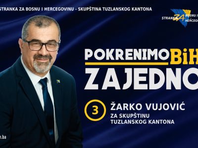zarko vujovic